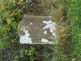 image of grave number 539810